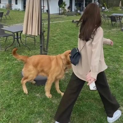 战马一号